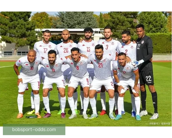 世界杯竞猜赛事数据分析与预测精准策略全面解析